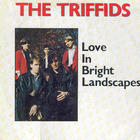 The Triffids - Love in bright landscapes