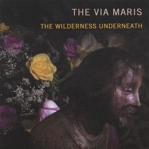 The Wilderness Underneath