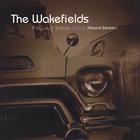 The Wakefields - Falling Down Blue (Record Sampler)
