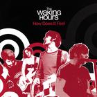 The Waking Hours - How Does It Feel