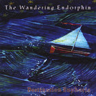 The Wandering Endorphin - Destination Euphoria
