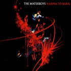 The Waterboys - Karma To Burn