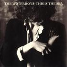 The Waterboys - This Is The Sea CD1