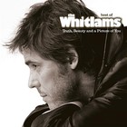 The Whitlams - Truth Beauty and a Picture of You