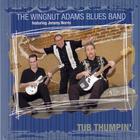 The Wingnut Adams Blues Band - Tub Thumpin'
