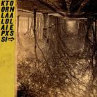 Thee Silver Mt. Zion Memorial Orchestra - Kollaps Tradixionales