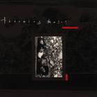 Throwing Muses - Chains Changed EP