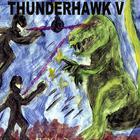 ThunderHawk - Gravity Wins!