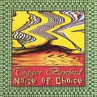 Tigger Benford - Noise of Choice