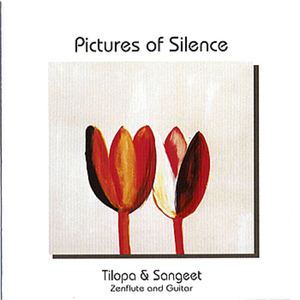 Pictures of Silence