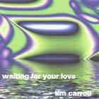 Tim Carroll - Waiting For Your Love