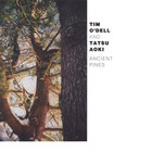 Tim O'Dell - Ancient Pines