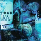 Toad the wet sprocket - Coil