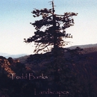 Todd Banks - Landscapes