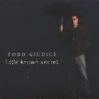 Todd Giudice - Little Known Secret