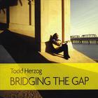 Todd Herzog - Bridging The Gap