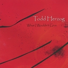 Todd Herzog - What I Wouldn't Give