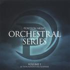 Tom Salta - Position Music - Orchestral Series Vol. 1
