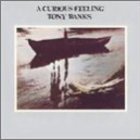 Tony Banks - A Curious Feeling