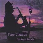 Tony Campise - Strange Beauty
