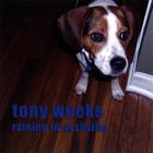 Tony Weeks - Raining in Nashville