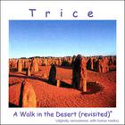 Trice - A Walk in the Desert (Revisited)