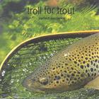 Troll for Trout - Perfect Existence