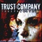 TRUST company - True Parallels