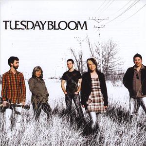 Tuesday Bloom