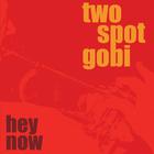 Two Spot Gobi - Hey Now