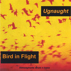 Ugnaught - Bird in Flight