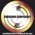 Unknown Component - Everything At Once Is Nothing All The Time