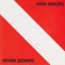 Van Halen - Diver Down (Vinyl)