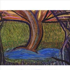 The Clearcut