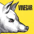 Vinegar - Rock Fetish