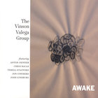 Vinson Valega - Awake