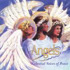 Voice Trek - Angels, Celestial Voices of Peace