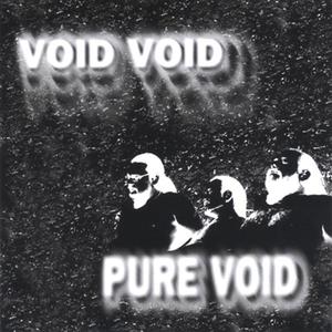 Pure Void
