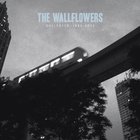 Wallflowers - Collected: 1996-2005