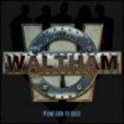 Waltham - Permission To Build