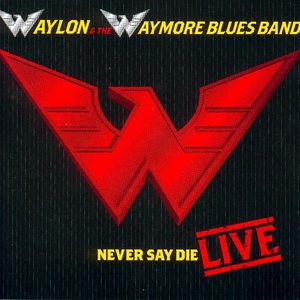 Never Say Die-Live