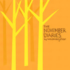 weaklazyliar - The November Diaries
