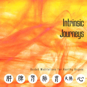 Intrinsic Journeys:Guided Meditations for Healthy Organs