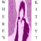 Where's Kitty? - where's kitty?