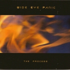 Wide Eye Panic - The Process