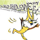 Wild Band Of Snee - Playhouse of the Universe
