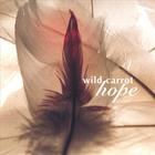 wild carrot - Hope