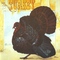 Wild Turkey - Turkey (Remastered 1995)