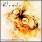 Winds - The Imaginary Direction Of Time