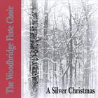 A Silver Christmas